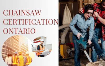 Chainsaw Certification Ontario: Mastering Your Tool for Safety and Success